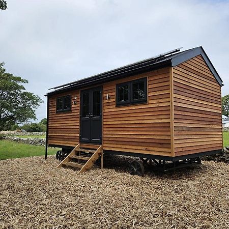 Woodland Shepherds Hut - 'Saga' Caernarfon Dış mekan fotoğraf
