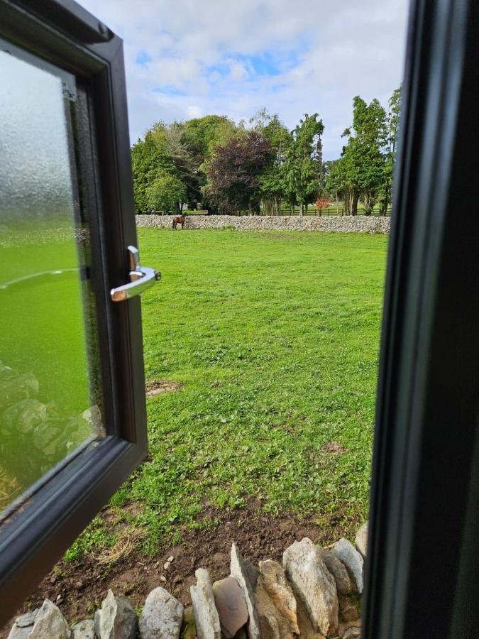 Woodland Shepherds Hut - 'Saga' Caernarfon Dış mekan fotoğraf