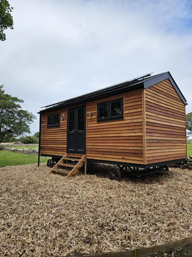 Woodland Shepherds Hut - 'Saga' Caernarfon Dış mekan fotoğraf
