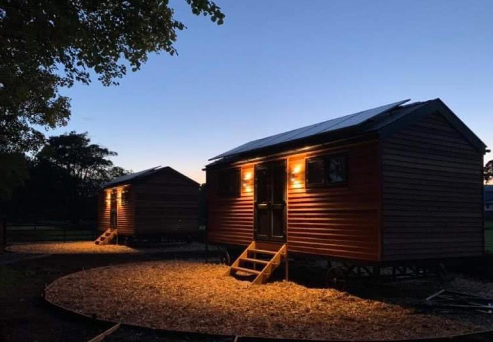 Woodland Shepherds Hut - 'Saga' Caernarfon Dış mekan fotoğraf